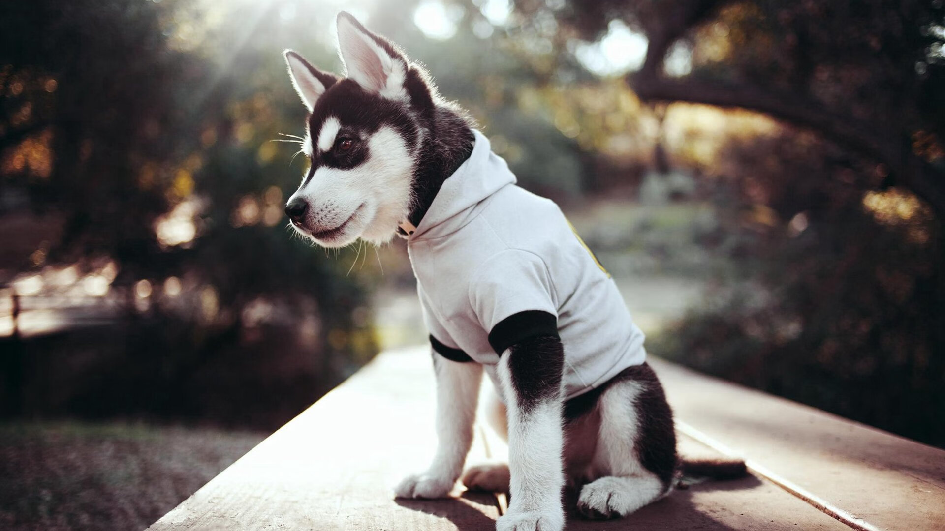 法比尼奥一剑封喉，韩国轻取贝蒂斯提前锁定胜局